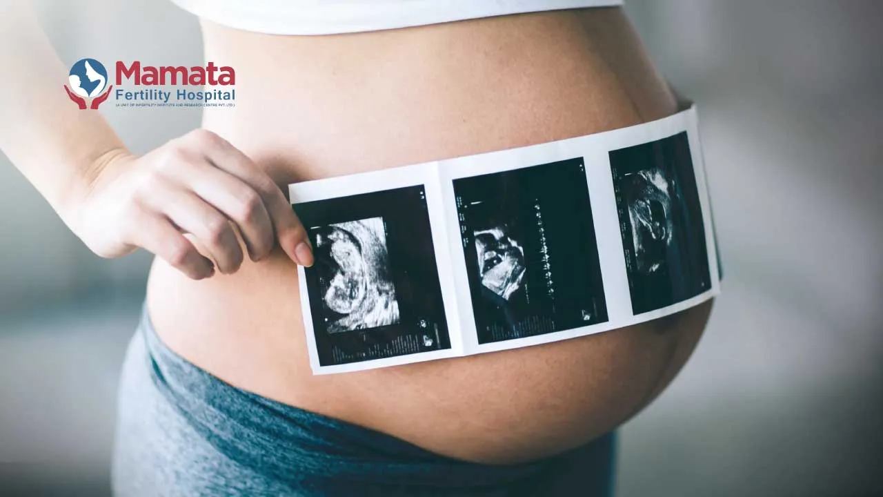The 3 Scans in Pregnancy
