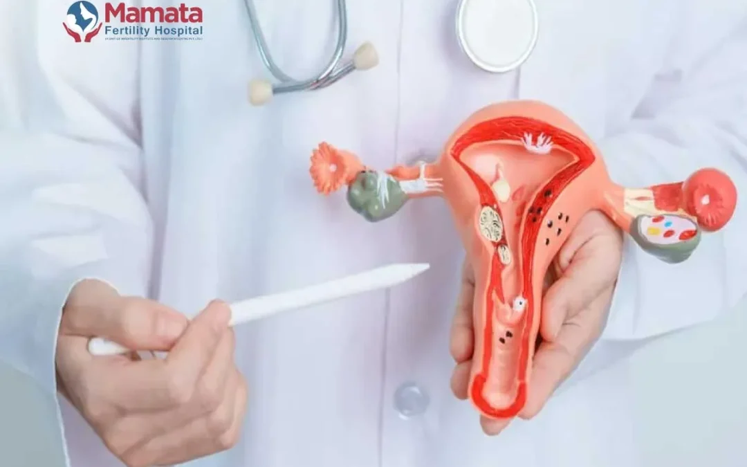 How to Increase Endometrial Thickness for IVF?