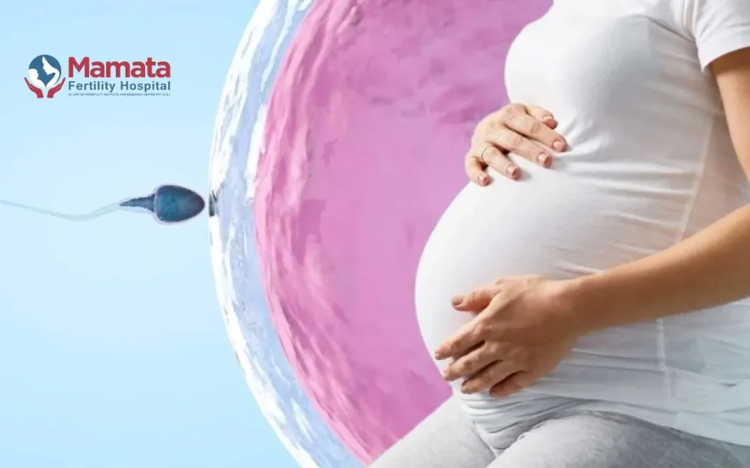 Does Poor Egg Quality Cause Birth Defects?