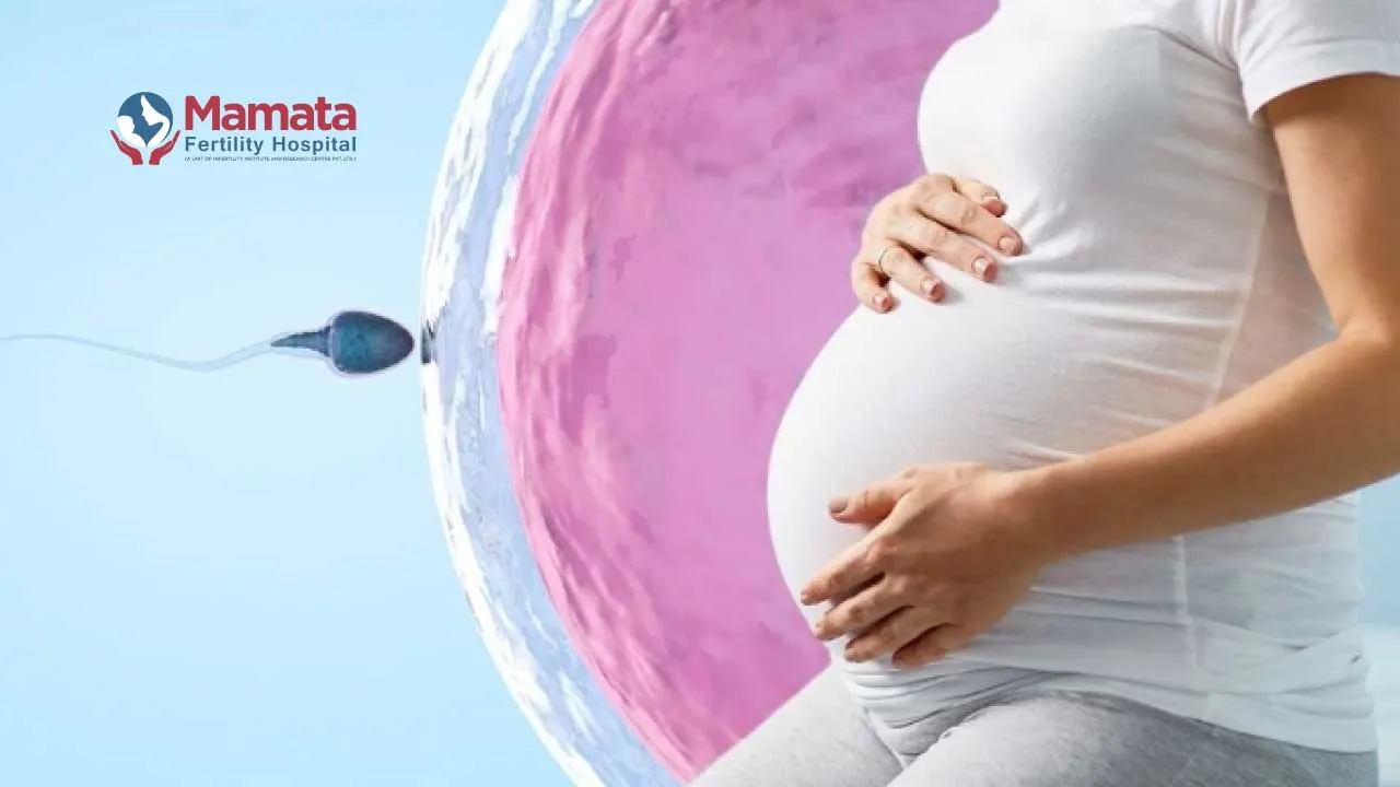 Does Poor Egg Quality Cause Birth Defects