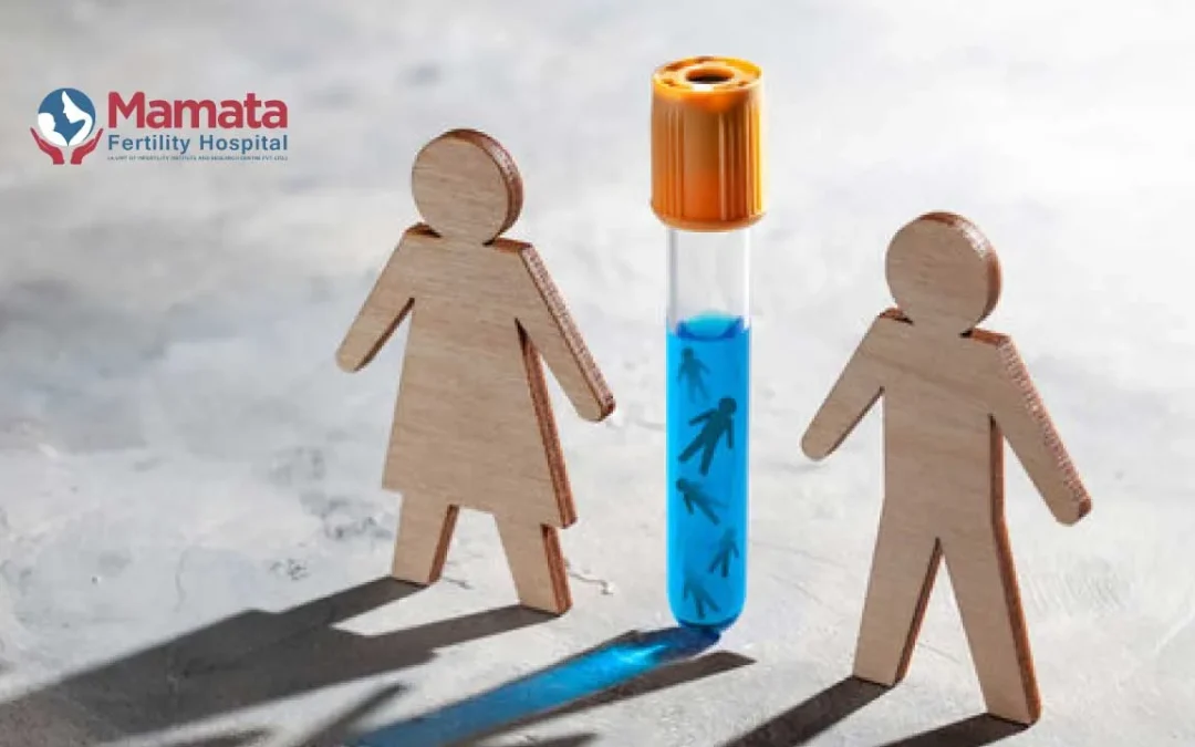 How To Make IVF Successful The First Time?