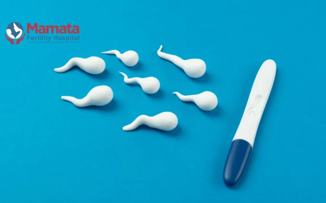 Sperm Count for IVF