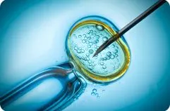 In Vitro Fertilisation (IVF)