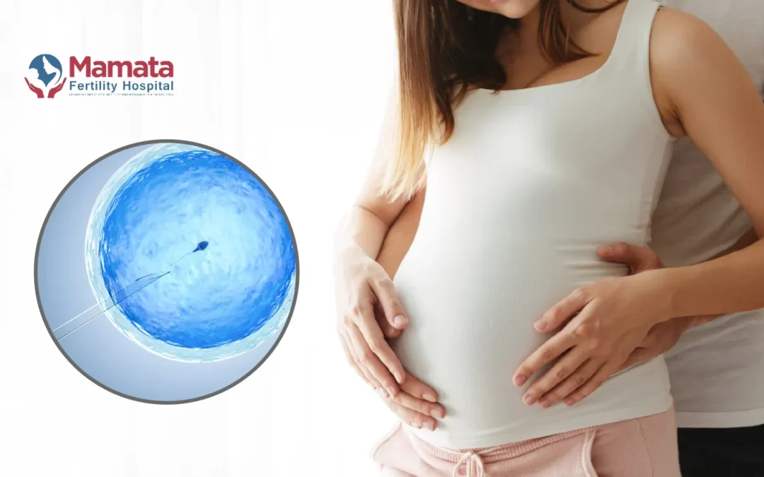 Precautions After Embryo Transfer in IVF