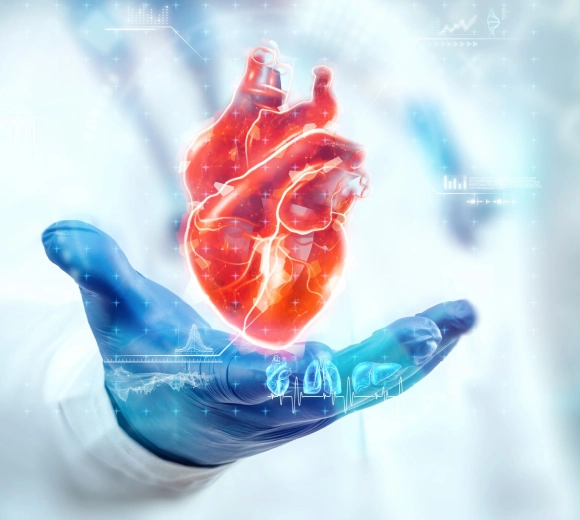 heart