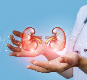 Kidney Health Screening Package