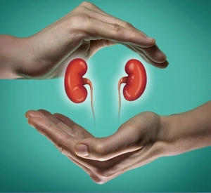 Kidney Transplant Pre-Assessment Package